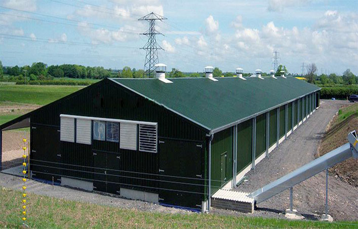 Prefab steel broiler poultry farm shed chicken farmhouse for 10000 chickens