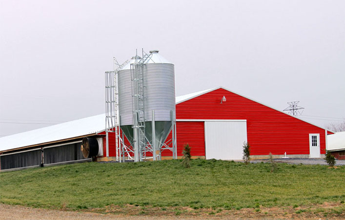 Poultry farming shed chicken house