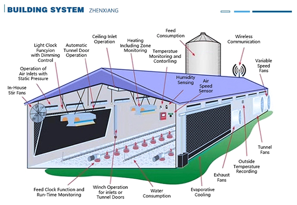 Commercial Steel Structure Broiler Poultry Farm House.png